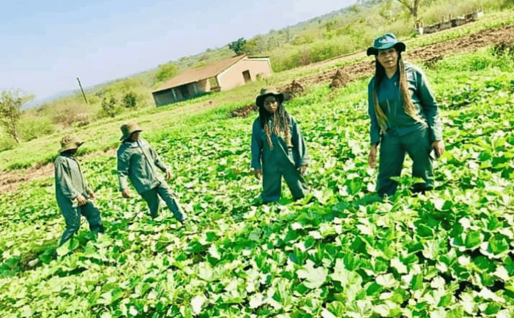 Swatsakani_Farming