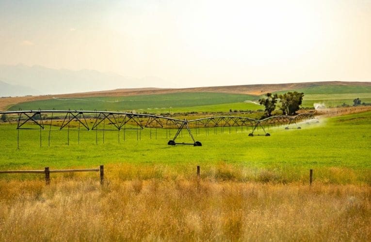 Uhulumeni ufuna ukusimamisa umnotho ngamabhizinisi amancane nezolimo
