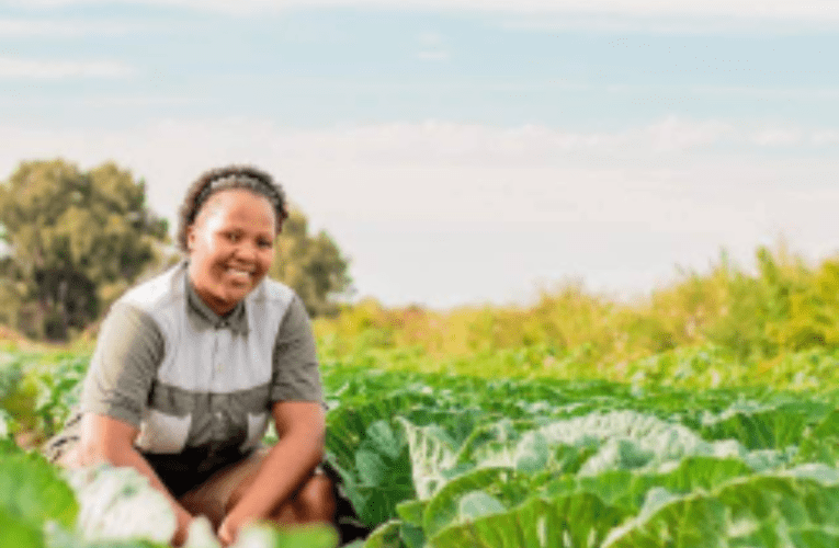 Umlimi osemncane ushintsha ukulima kwelakubo