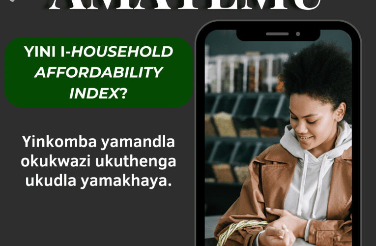 YINI I-HOUSEHOLD AFFORDABILITY INDEX?