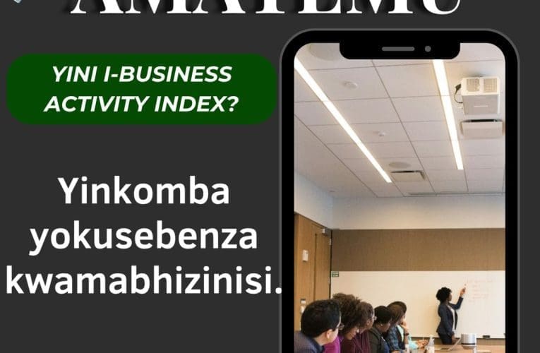 YINI I-BUSINESS ACTIVITY INDEX?