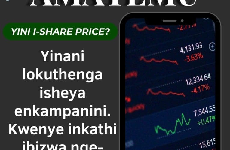 YINI I-SHARE PRICE?