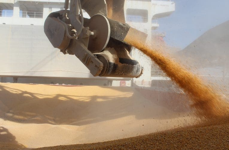 IChweba laseThekwini libuyele ekuthutheni umbila