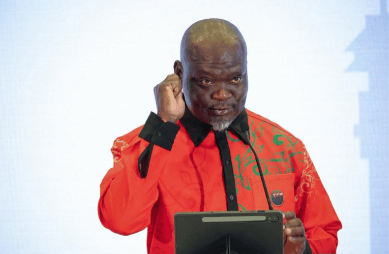 Izinkampani zaphesheya kufanele zihlawule ngokukopolota i-Afrika – umfelandawonye wezinyunyana
