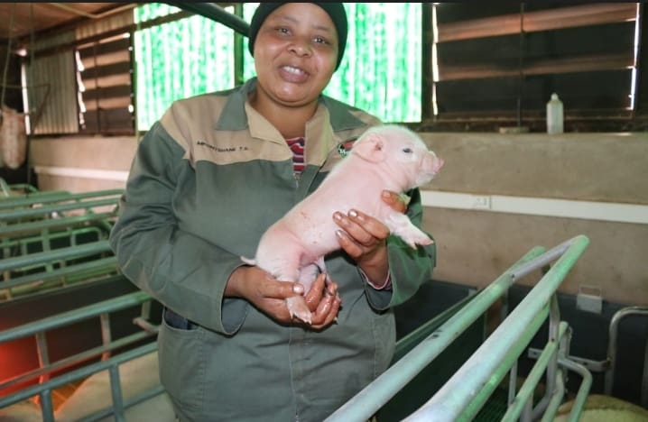 Usefunde ukuhlelela izikhathi zobunzima uma kubhimba uhlelo. INTATHELI YOMBELE iyabika