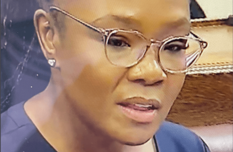 Kunomehluko endleleni imali kahulumeni ephathwa ngayo kodwa usemkhulu umsebenzi okufanele wenziwe. USLINDILE KHANYILE uyabika 