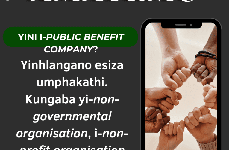 YINI I-PUBLIC BENEFIT COMPANY?