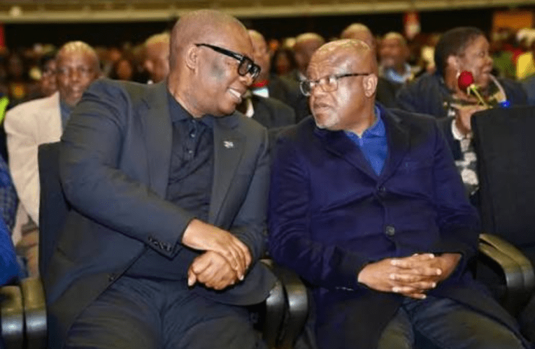 Umasipala waseGoli awuswele. Inkinga wukuthi awuphethwe kahle, kuloba uBusi Mavuso