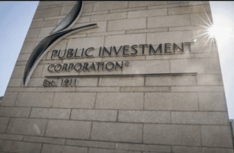 Indlela iPublic Investment Corporation eyakhiwe ngayo iyenza ibhodwe eliconsayo, kuloba uJabulani Sikhakhane