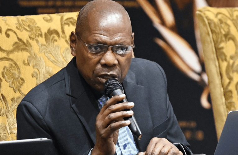 Luya ePhalamende olukaR13,5 billion womasipala abangenzi kahle 